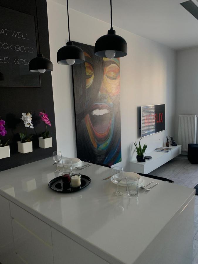 Appartement Two-Levels Penthouse With A Garden In The City Center à Łódź Extérieur photo