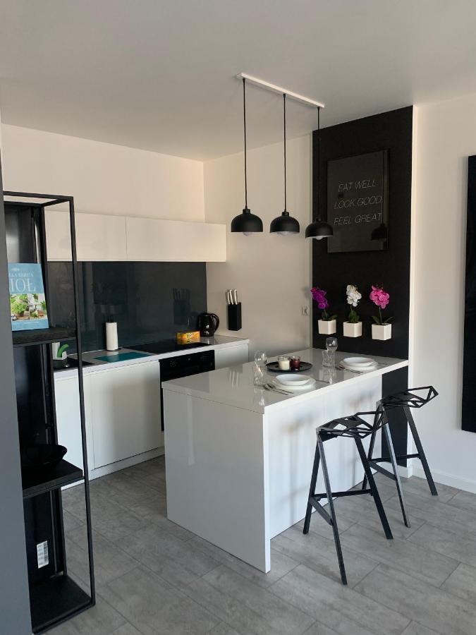 Appartement Two-Levels Penthouse With A Garden In The City Center à Łódź Extérieur photo